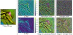 Certified Adversarial Robustness via Anisotropic Randomized Smoothing