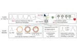 UniCR: Universally Approximated Certified Robustness via Randomized Smoothing